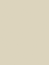 PŁYTA MDF LAMINOWANA JEDNOSTRONNIE MUSZLA 18mm 5982SMJ-1