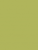 PŁYTA MDF LAMINOWANA JEDNOSTRONNIE OCEAN ZIELONY 18mm 8996SMJ-1
